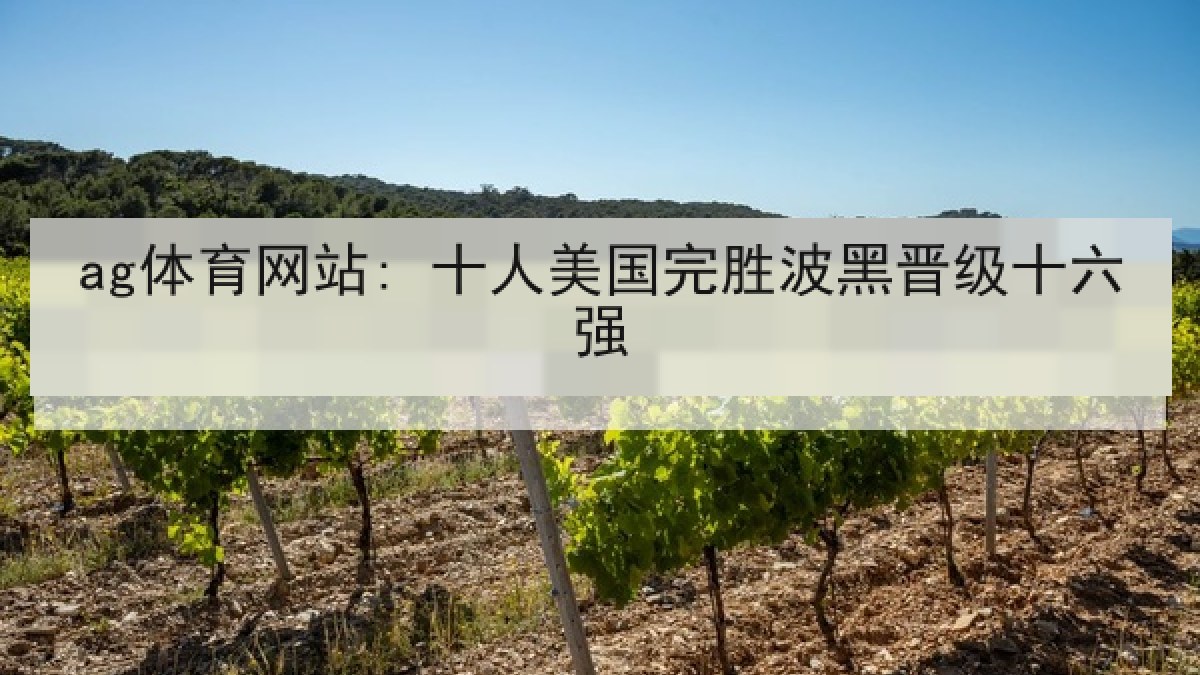 ag体育网站: 十人美国完胜波黑晋级十六强