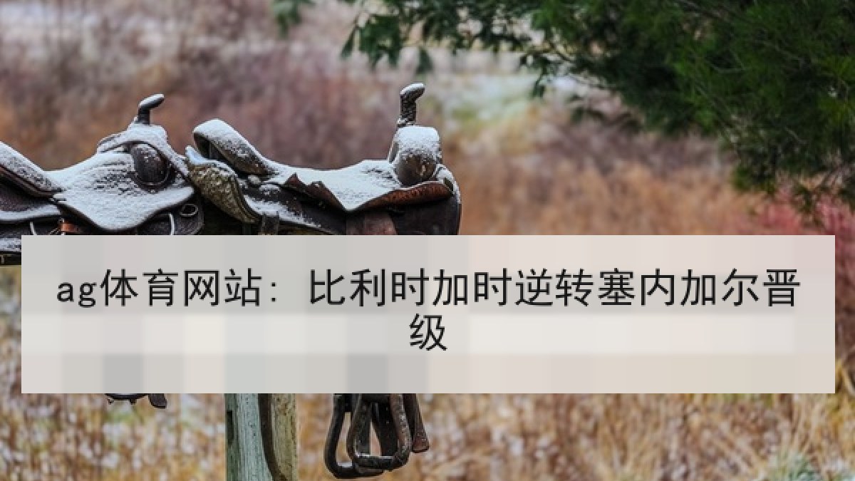 ag体育网站: 比利时加时逆转塞内加尔晋级