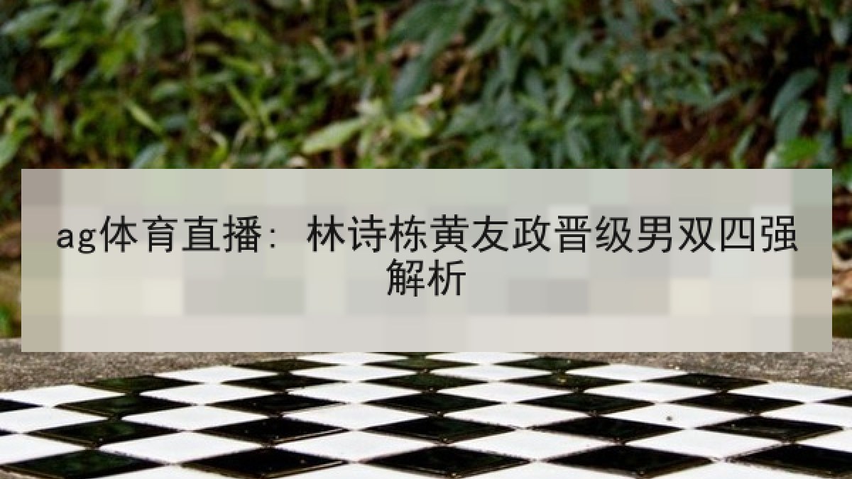 ag体育直播: 林诗栋黄友政晋级男双四强解析