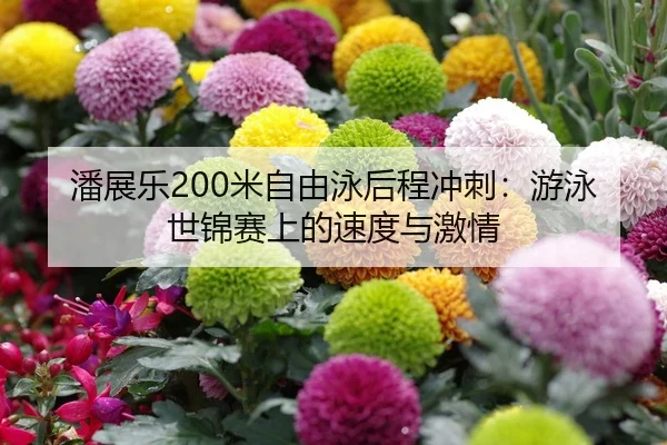潘展乐200米自由泳后程冲刺：游泳世锦赛上的速度与激情