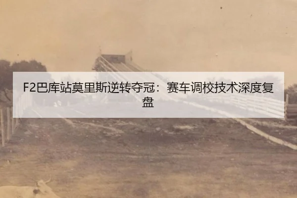 ba-ku-zhan-mo-li-si-ni-zhuan-duo-guan-sai-che-diao-xiao-ji-shu-shen-du-fu-pan-3-485.jpg