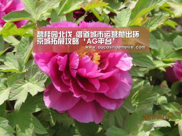 AG竞猜
