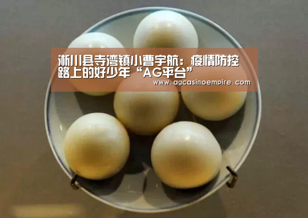 淅川县寺湾镇小曹宇航：疫情防控路上的好少年“AG平台”
