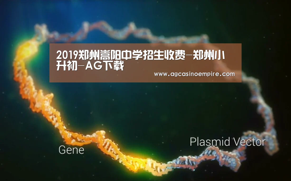 2019郑州嵩阳中学招生收费-郑州小升初-AG下载