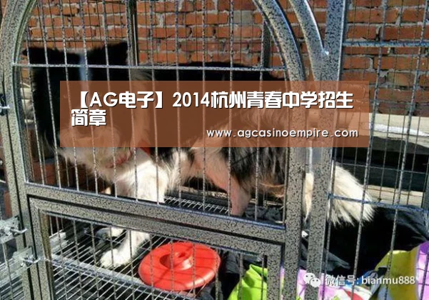 【AG电子】2014杭州青春中学招生简章